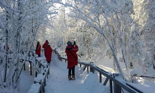 Wooden-Walkway